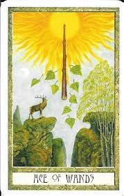 The ace of wands is a tarot card of the minor arcana, arcana being latin for mysteries. The Tarot Of Eli The Druid Craft Tarot Ace Of Wands The Thoth Tarot Ace Of Wands