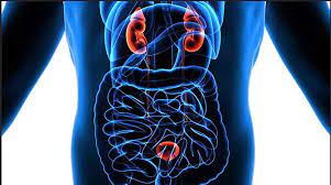 Of course, your specialist is the main person whose advice you should follow but it doesn't do anyone harm. Is Back And Hip Pain A Symptom Of Prostate Cancer Houston Physicians Hospital
