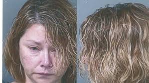 Ex-girlfriend accused of torching holiday yard decoration