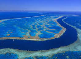 Hopefully these great barrier reef's tidbits have ignited an interest. Great Barrier Reef Pronounced Dead In 2016 After 25million Years Nature News Express Co Uk