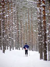 Check spelling or type a new query. Cummings Nature Center Nature Center Places To Visit Hometown