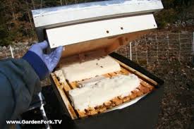 Cheap and easy diy glass aquarium beehive 14. Diy Insulated Inner Cover Beekeeping 101 Gardenfork Eclectic Diy