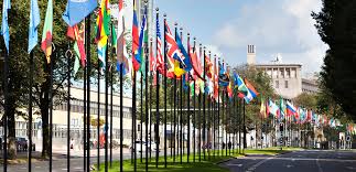 Image result for the hague