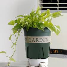 Check spelling or type a new query. Sunsky Round Root Controlled Basin Rose Clematis Plant Breathable Gallon Pot Style 20 Control Army Green
