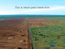 And, peat moss can be used to encourage pink hydrangea flowers to turn blue. The Truth About Peat In Defense Of Plants
