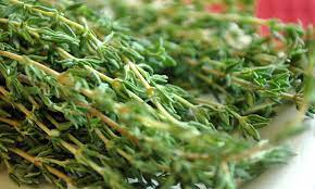 Thyme is known for its numerous medicinal properties. How To Harvest Thyme And Store It Right Epic Gardening