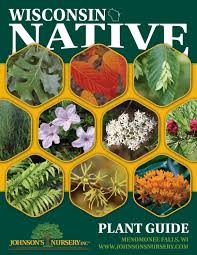 Maybe you would like to learn more about one of these? Wisconsin Native Plant Guide By Johnson S Nursery Inc Issuu
