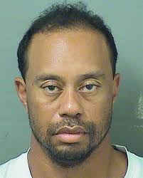 Tiger Woods Booking Photo For His Dui Arrest Palm Beach County Sheriff S Office May 2017 Tiger Woods Mug Shots Celebrity Mugshots