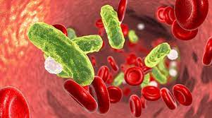 1 sinopsis 2 reparto 2.1 principales 2.2 secundarios 2.3 episódicos patrick y el equipo investigan el asesinato de un médico hallado muerto en un campo de golf. Investigacion Revela Peligro De Las Infecciones Del Torrente Sanguineo