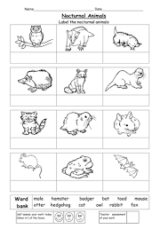 Nocturnal animals are more active at night, diurnal animals are more active during the nocturnal animals are often well equipped to survive in the dark. Name The Nocturnal Animals Teaching Resources