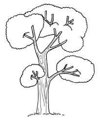 Printable Tree Coloring Pages Colouring For Kids Tree Coloring Page Tree Trunk Drawing Coloring Pages