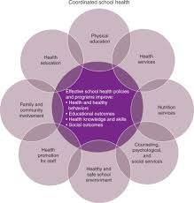 Health promotion and health education. Health Education An Overview Sciencedirect Topics