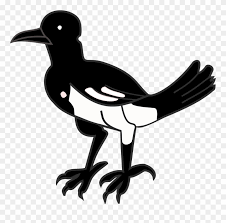 Murai batu png vector 803x1191 png download pngkit. Open Burung Murai Hitam Putih Clipart 850891 Pinclipart