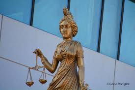Image result for Justicia nuttii
