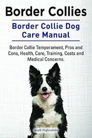 Public Dog Training Room Weimaraner Toydogsaccessories Border Collie Temperament Border Collie Dog Collie Dog