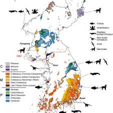 Check out here to get the modern, unique and latest boy baby names by korean starting . A Review Of Vertebrate Body Fossils From The Korean Peninsula And Perspectives Request Pdf
