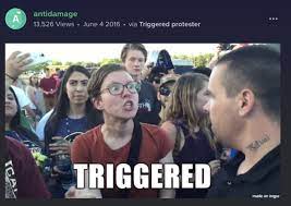 Triggered Feminist Know Your Meme