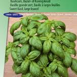 If you sow the basil seeds in the right spot, you can enjoy this delicious fresh herb for many years. Basil Seeds For Sale Buy Basil Seeds Online