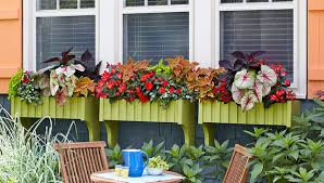 Window boxes are a common sight on buildings throughout the world. 23 Diy Window Box Ideas Build And Fill Them With Colorful Flowers The Self Sufficient Living