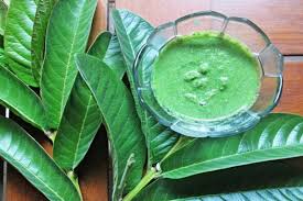 Padahal jambu biji (terutama yang berdaging merah) sangat kaya akan kandungan. Daun Jambu Batu Rahsia Alami Untuk Cantik Sihat