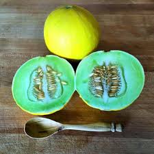 Image result for Cucumis melo