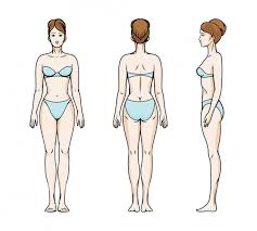Free male body outline template. áˆ Outline Of The Body Stock Cliparts Royalty Free Female Body Outline Images Download On Depositphotos