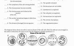 The Cell Cycle Coloring Worksheet Key Biology Worksheet Teaching Biology Cell Cycle