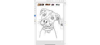 Use curved lines that meet at jagged points. Draw Your Dog As A Cartoon Make It With Adobe Creative Cloud