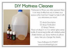 Roots Of Healing Young Living Bed Bug Spray Bed Bugs Essential Oils Diy Essential Oils