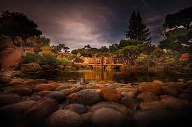 More than three acres of japanese and native california trees, rocks, and plants are arranged in traditional japanese style. Review Hayward Japanese Gardens Offmetro Ca