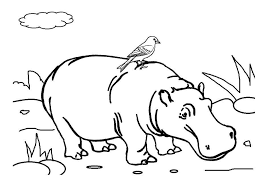 Hippo Coloring Page Animal Coloring Pages Coloring Pages Animal Printables