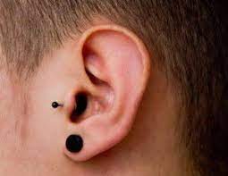 Tragus Piercing Piercing Piercing Hombre Tragus Tragus Piercings Guys Ear Piercings Ear Piercings Tragus