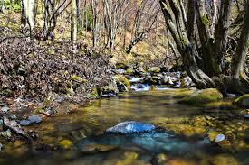 Natural Background Hd Photos Royalty Free Images Graphics Vectors Videos Adobe Stock These free photos are cc0 licensed, so you can use them in both your personal or commercial projects without attribution.