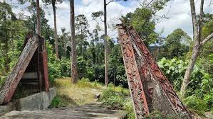 Satu dari banyak foto stok gratis yang menakjubkan dari pexels. Taman Botani Negara Shah Alam 2021 All You Need To Know Before You Go Tours Tickets With Photos Tripadvisor
