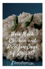 How Much Chicken And Rice For Dogs By Weight Patchpuppy Com How To Cook Rice Dog Treat Recipes Dog Food Recipes