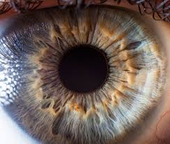 Amazing Photos That Are Worth Seeing At Least Once In A Lifetime Goz Boyama Insan Gozu Fotograf