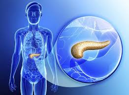 Pancreatic cancers have a high mortality rate, being the 4th most common cause of cancer death in the uk. Pancreatic Cancer Cells Halted By Cholesterol Blockage