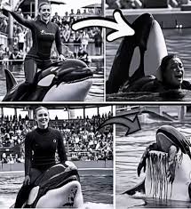¡Alerta Viral! ¿Murió Jessica Radcliffe? La Verdad Impactante - Imagen principal del artículo