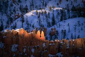 Authenticity in Photography