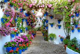 Resultado de imagen de Cordoba patio