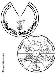 Lapbook vorlagen ameisen kleine geschenke kreativ basteln kostenlose vorlagen dibujo. 170 Lapbook Vorlagen Ideen Lapbook Vorlagen Vorlagen Lapbook Ideen