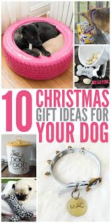 10 Christmas Gift Ideas For Your Dog Glue Sticks And Gumdrops Dog Christmas Gifts Christmas Dog Dog Lover Gifts