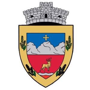 Stema Sita Buzăului