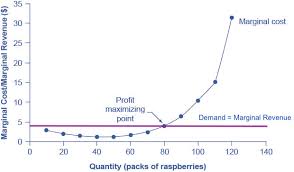 Profit Maximization In A Perfectly Competitive Market