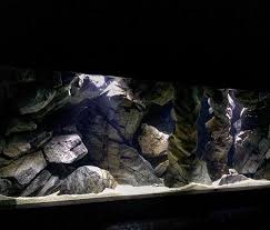 custom made stone create your own setup with us aquadecor interiordesign aquascaping aquascape aquarium