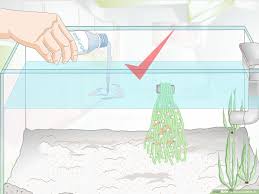 how to raise goldfish fry 13 steps with pictures wikihow