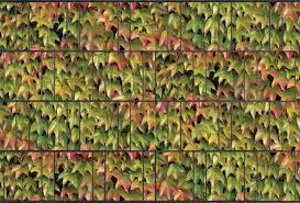 Sichtschutzstreifen Bedruckt Vorgarten Zaun Garten