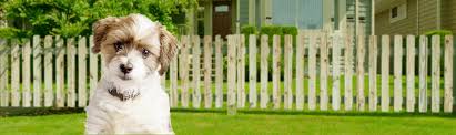 Check spelling or type a new query. Contact Bravo Fence Company