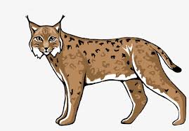 Ii luchs 30mm is a tier 2 german premium light tank. Lynx Transparent Images Luchs Clipart Png Image Transparent Png Free Download On Seekpng