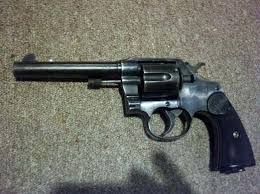 Image result for Grace Silver 1993 Colt